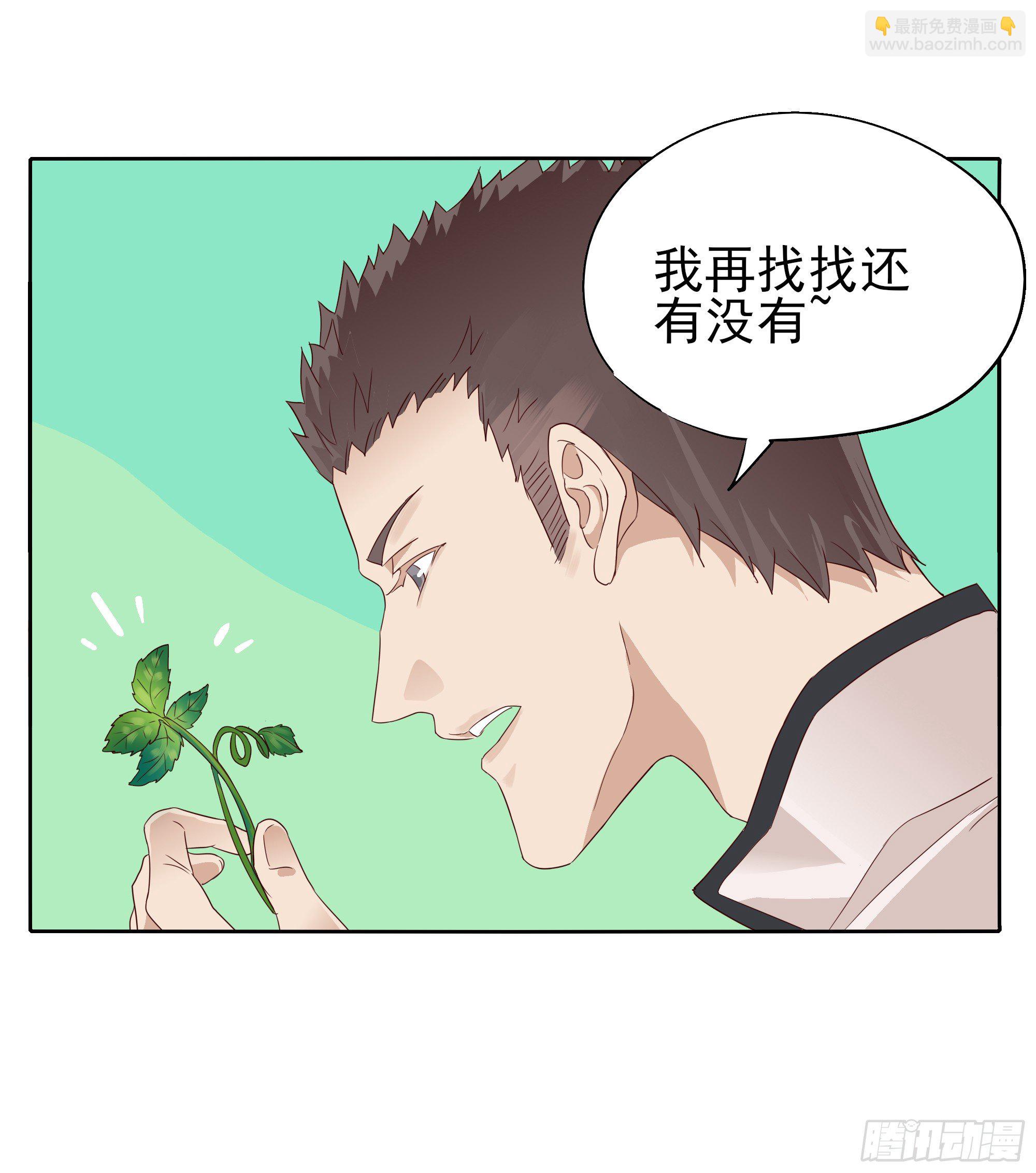 🍱拾光 薄荷叶 第9页
