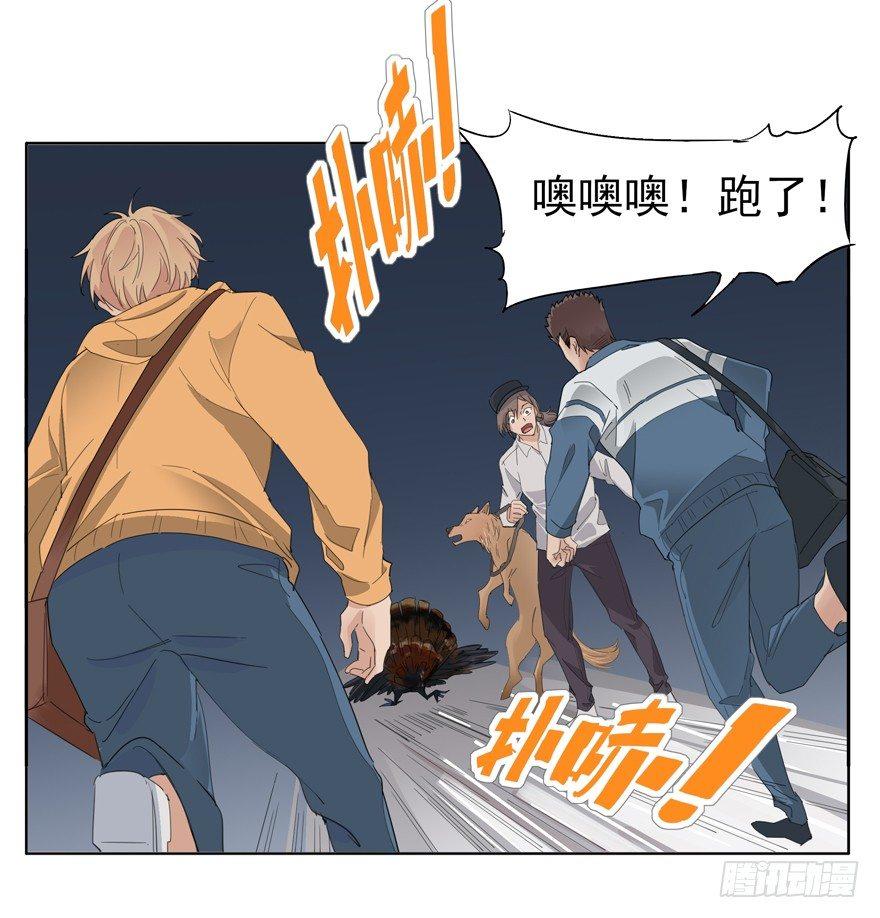 🍱拾光 咯咯咯与咕咕咕 第12页