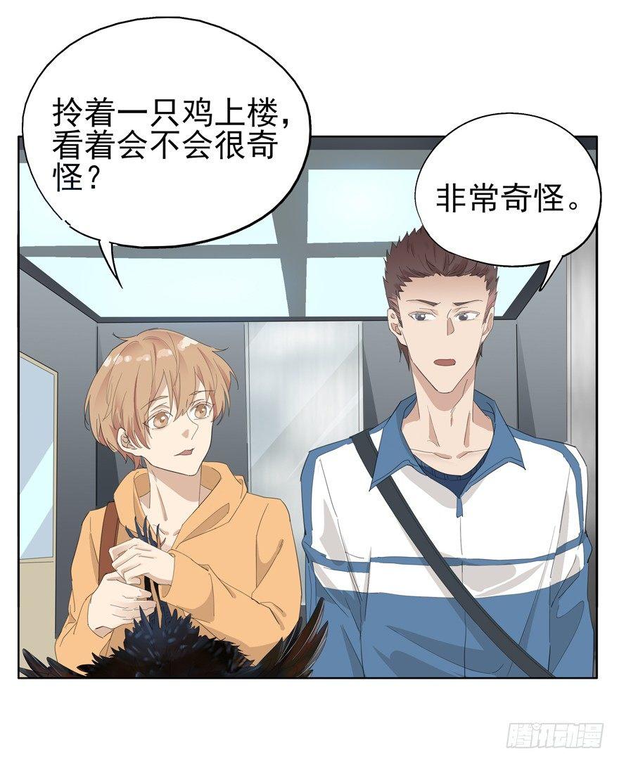🍱拾光 咯咯咯与咕咕咕 第16页