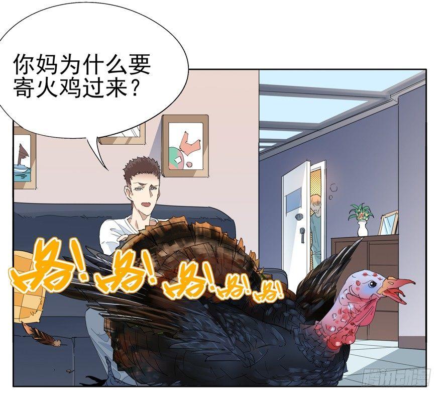 🍱拾光 咯咯咯与咕咕咕 第26页
