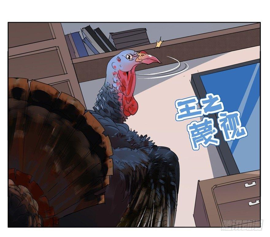 🍱拾光 咯咯咯与咕咕咕 第28页