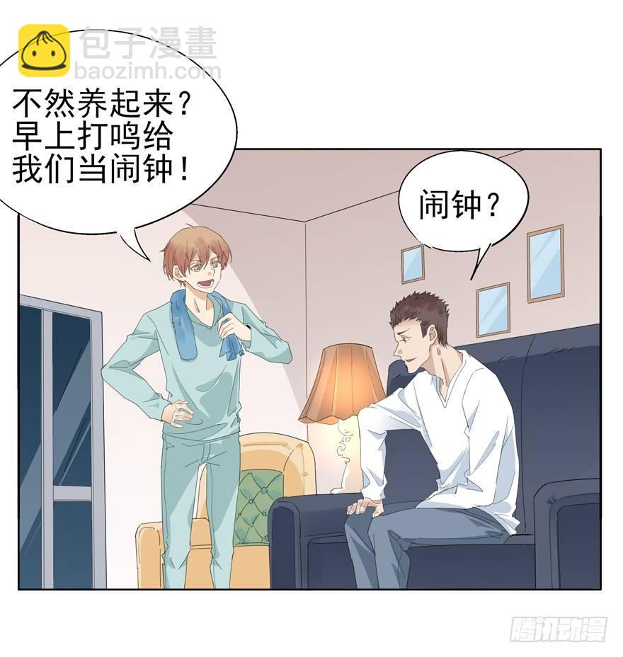 🍱拾光 咯咯咯与咕咕咕 第29页
