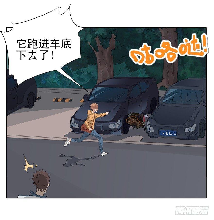 🍱拾光 咯咯咯与咕咕咕 第5页