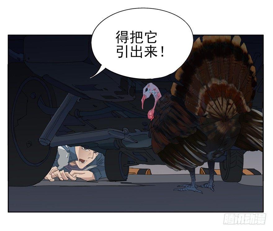 🍱拾光 咯咯咯与咕咕咕 第6页