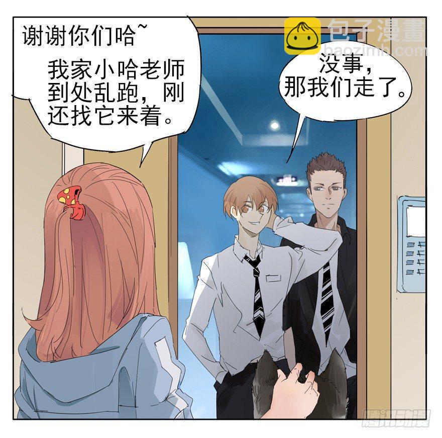 🍱拾光 我养你，你养狗 第25页