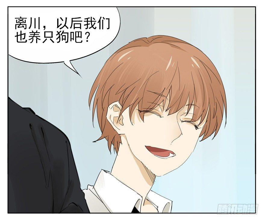 🍱拾光 我养你，你养狗 第29页