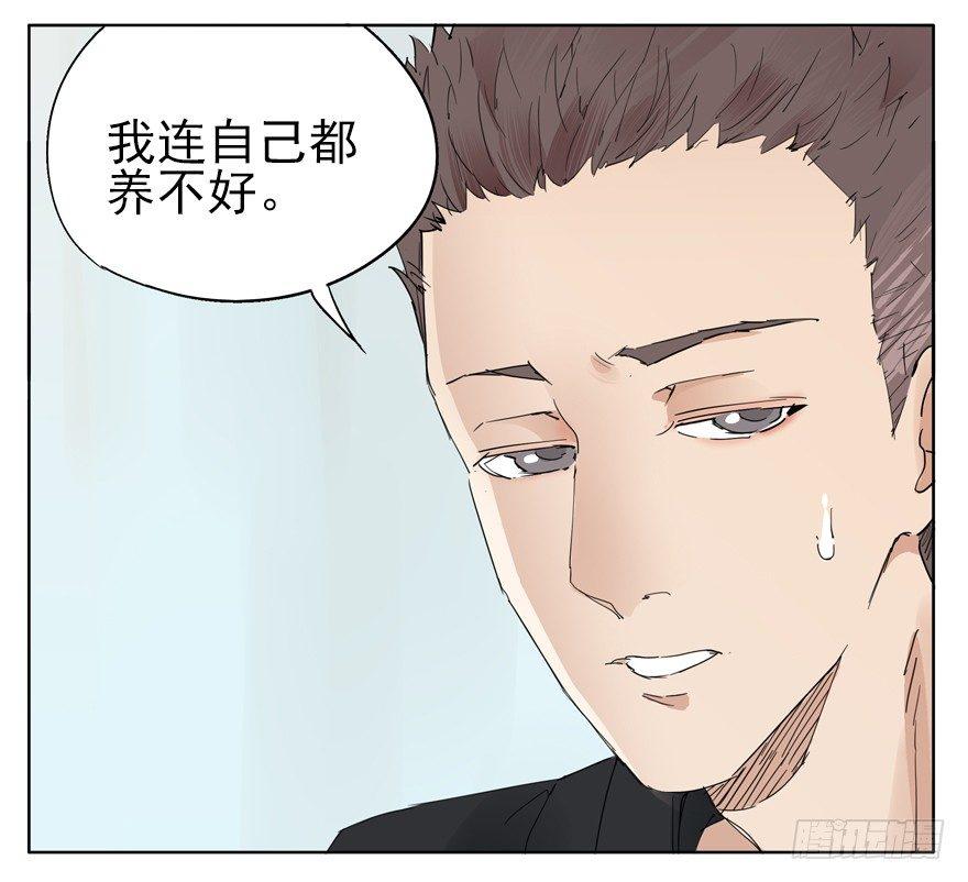 🍱拾光 我养你，你养狗 第30页