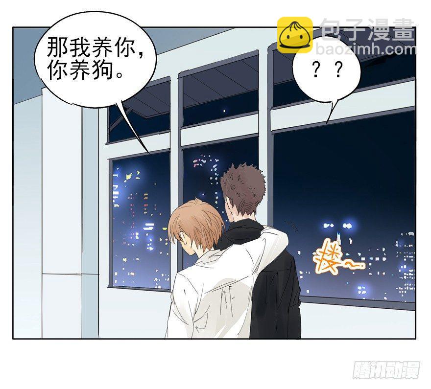 🍱拾光 我养你，你养狗 第31页