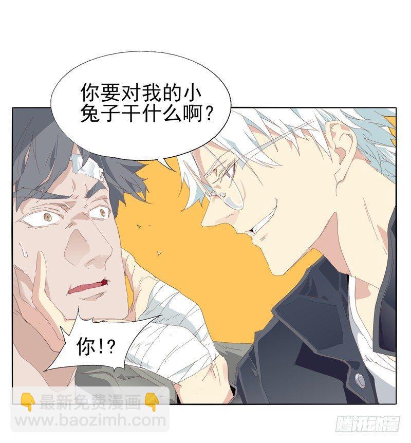🍱拾光 我的小兔子 第12页