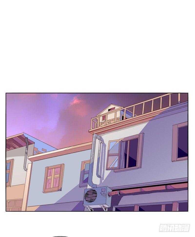 🍱拾光 我的小兔子 第2页