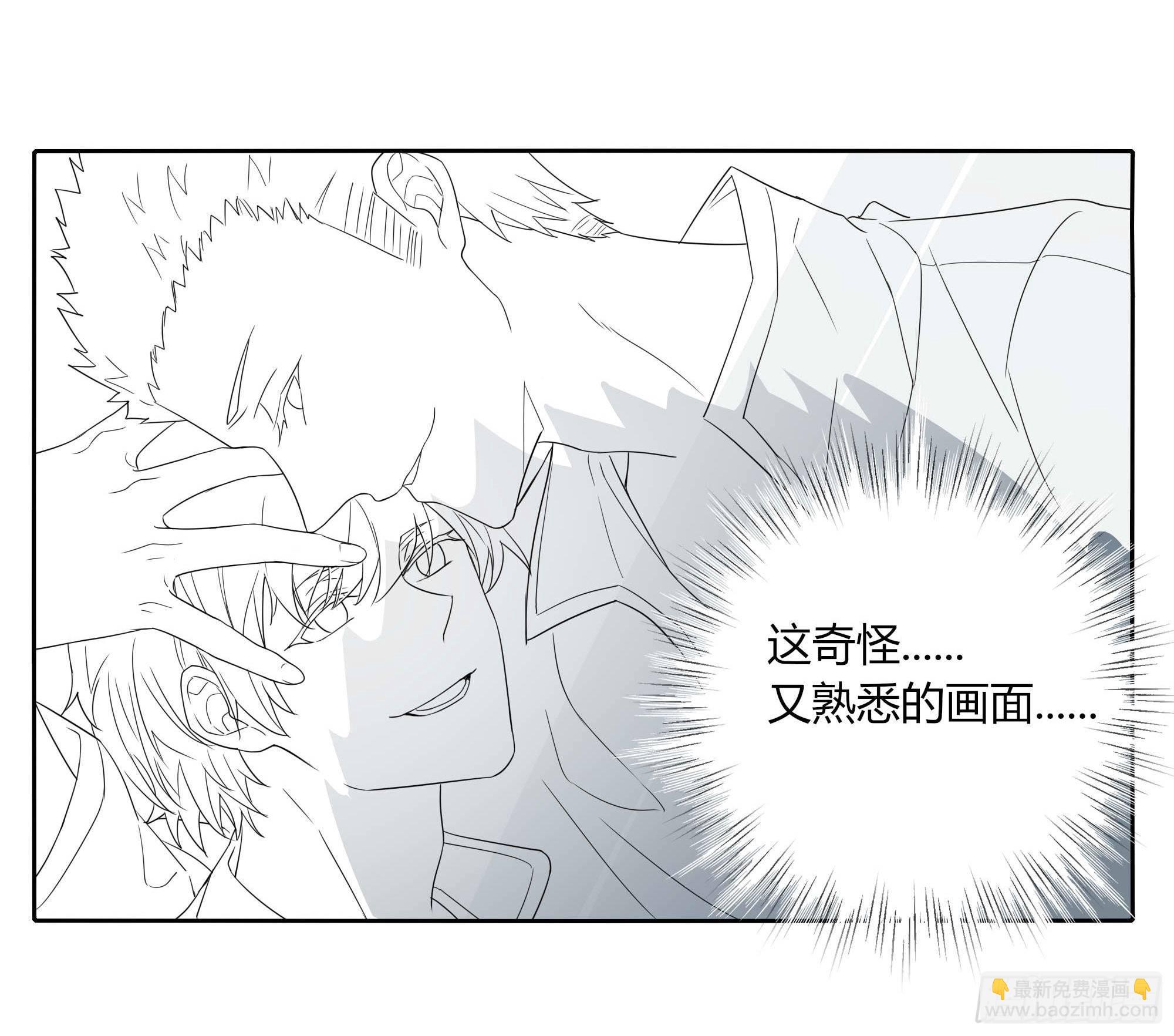 🍱拾光 艺术细菌 第15页