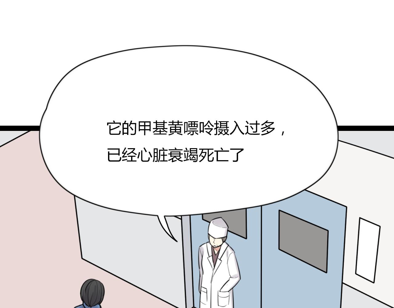 第14话 哪有什么如果&hellip;&hellip;(1/2)-第15话