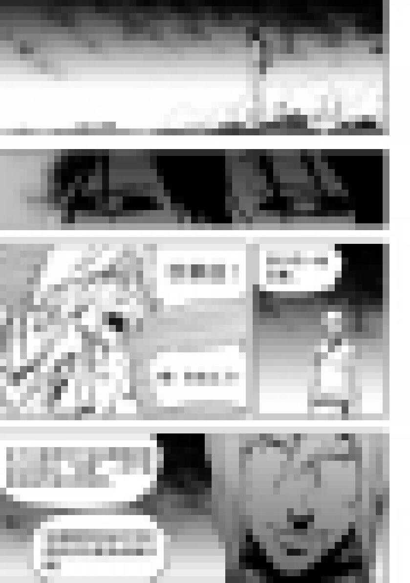 🍱噬规者 第200话 碾压 第2页