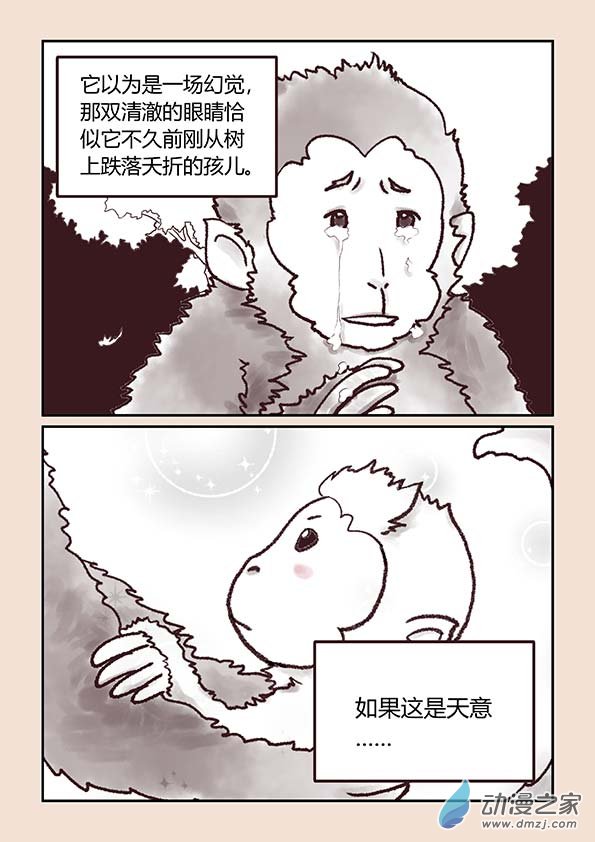 🍱石猴 序 第6页