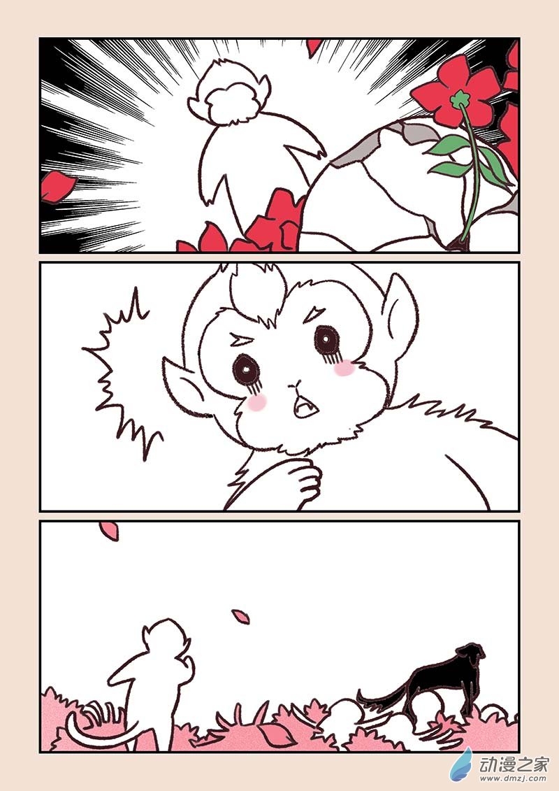 🍱石猴 第四十四章 通天眼2 第5页