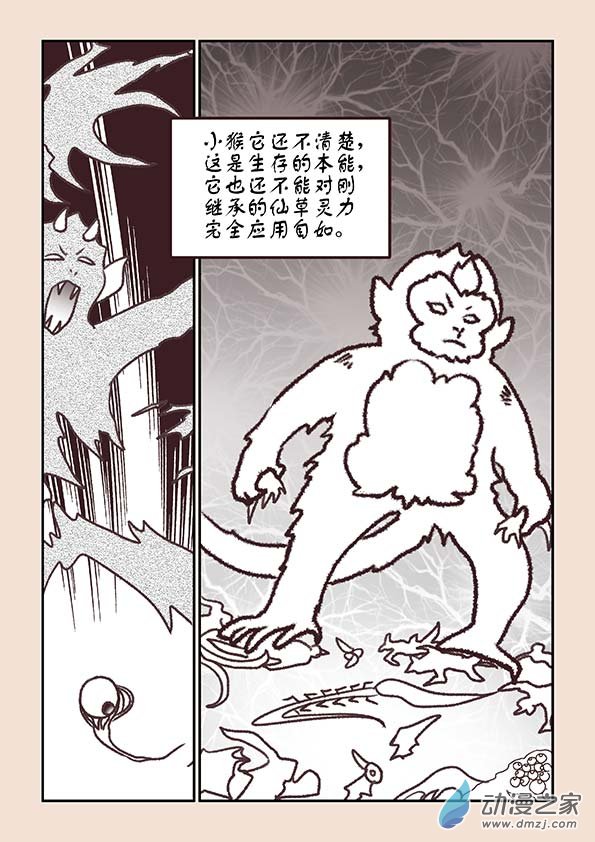 🍱石猴 第五章 玉灵芝4 第4页