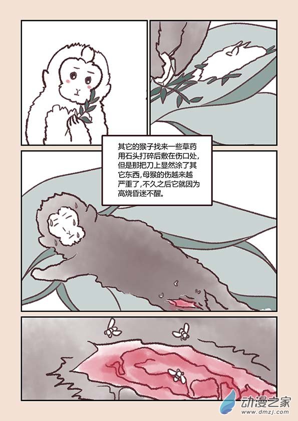 🍱石猴 第二章 别离曲4 第2页