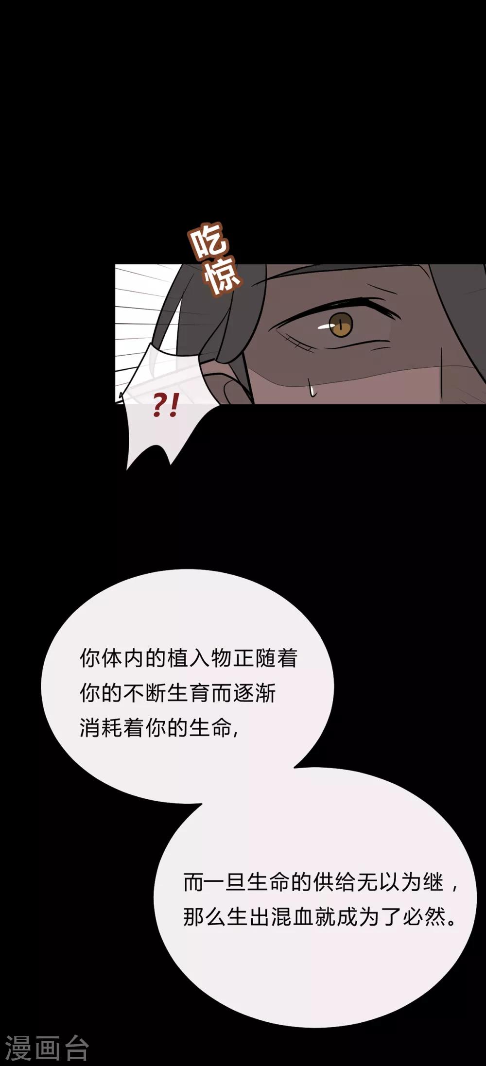 第39话-第41话