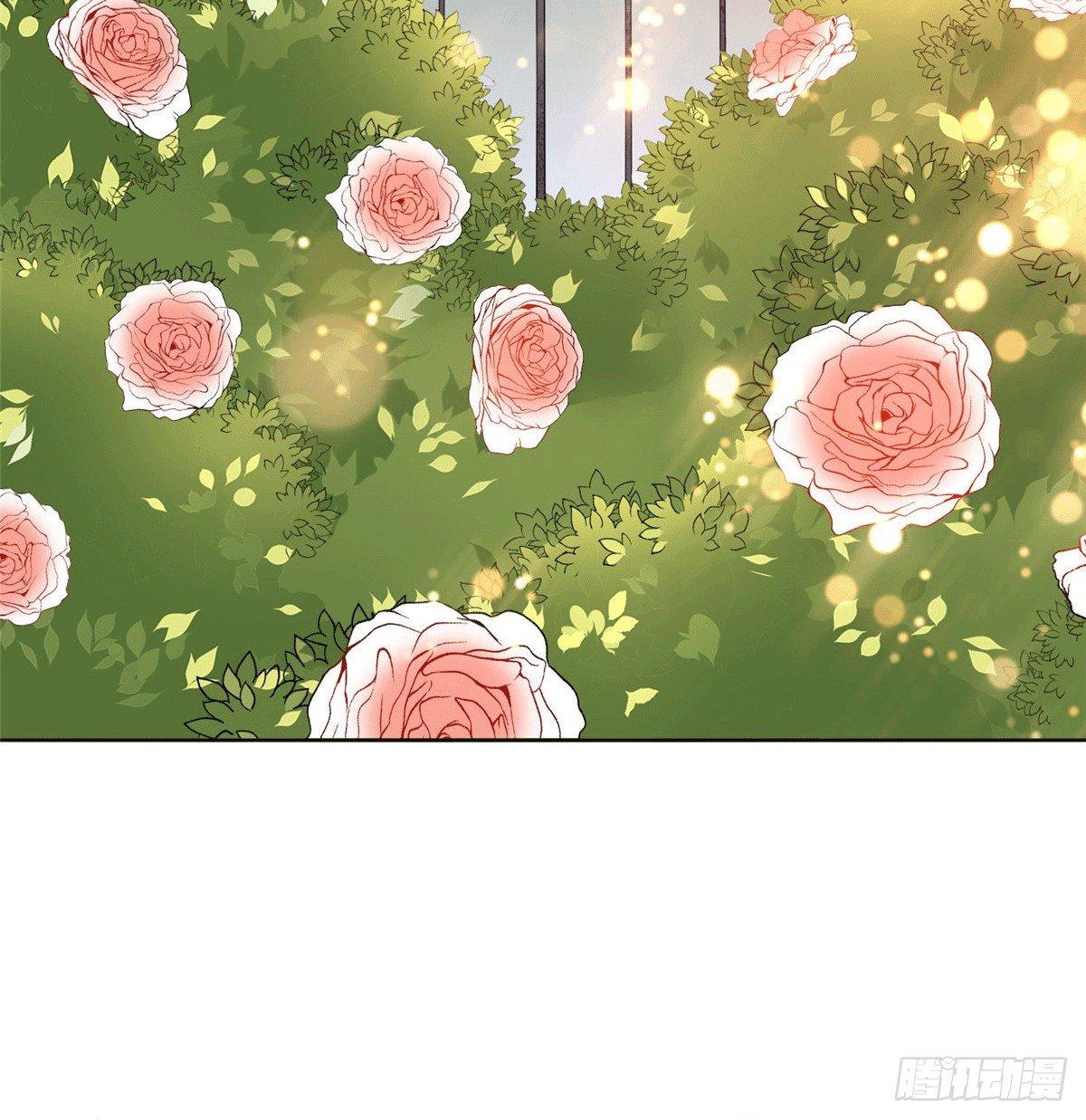 第二十七话 宣布复出(1/2)-第75话