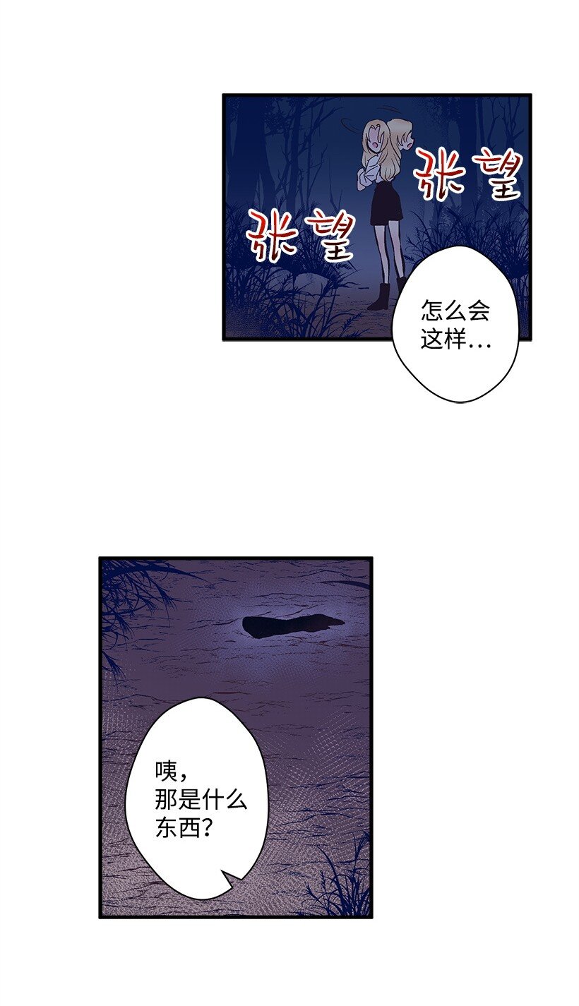 15 打赌(1/2)-第15话