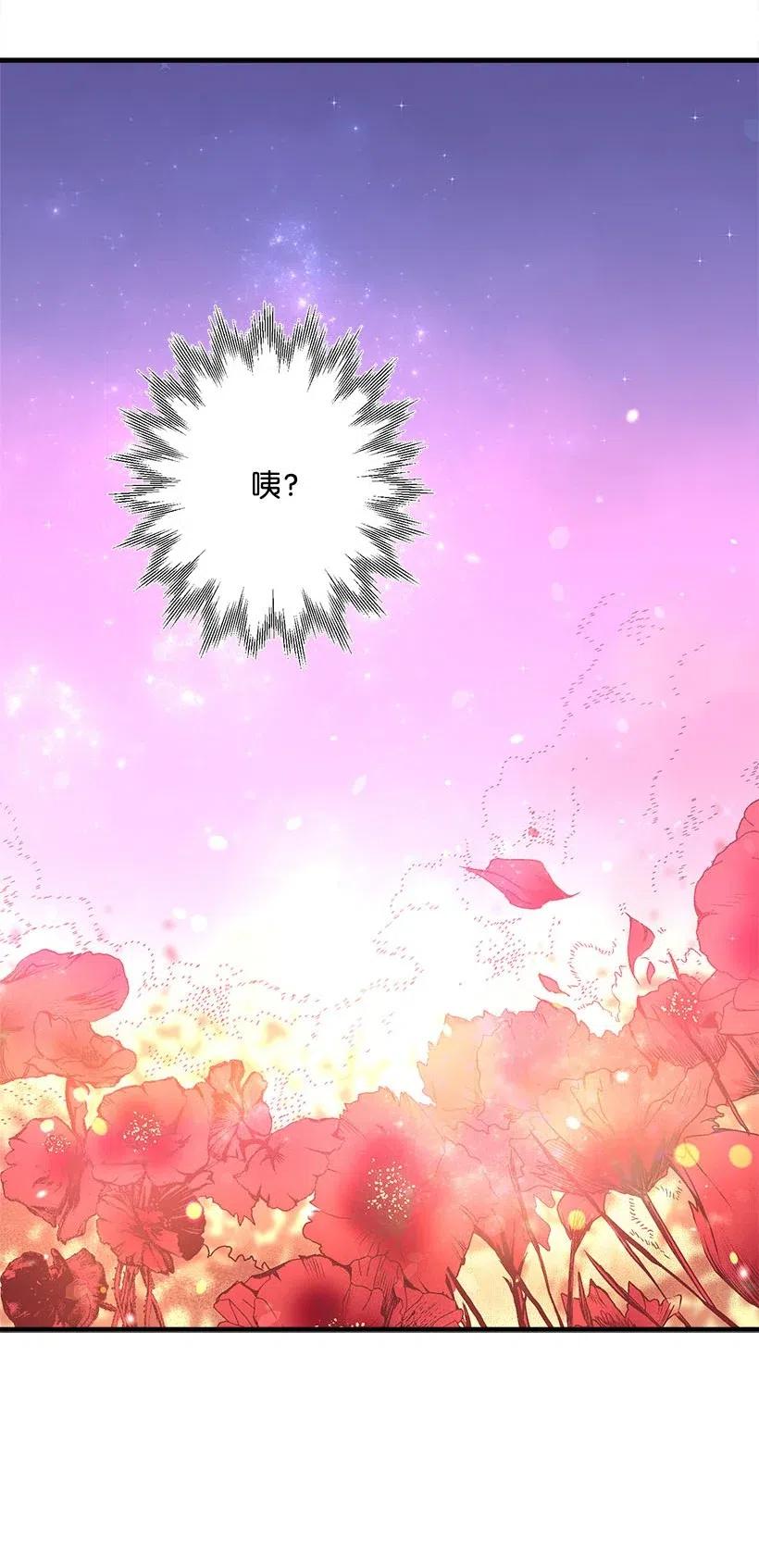 57 罂粟花田(1/2)-第57话