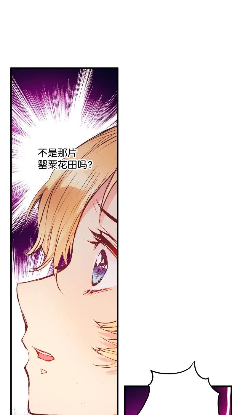 57 罂粟花田(1/2)-第57话