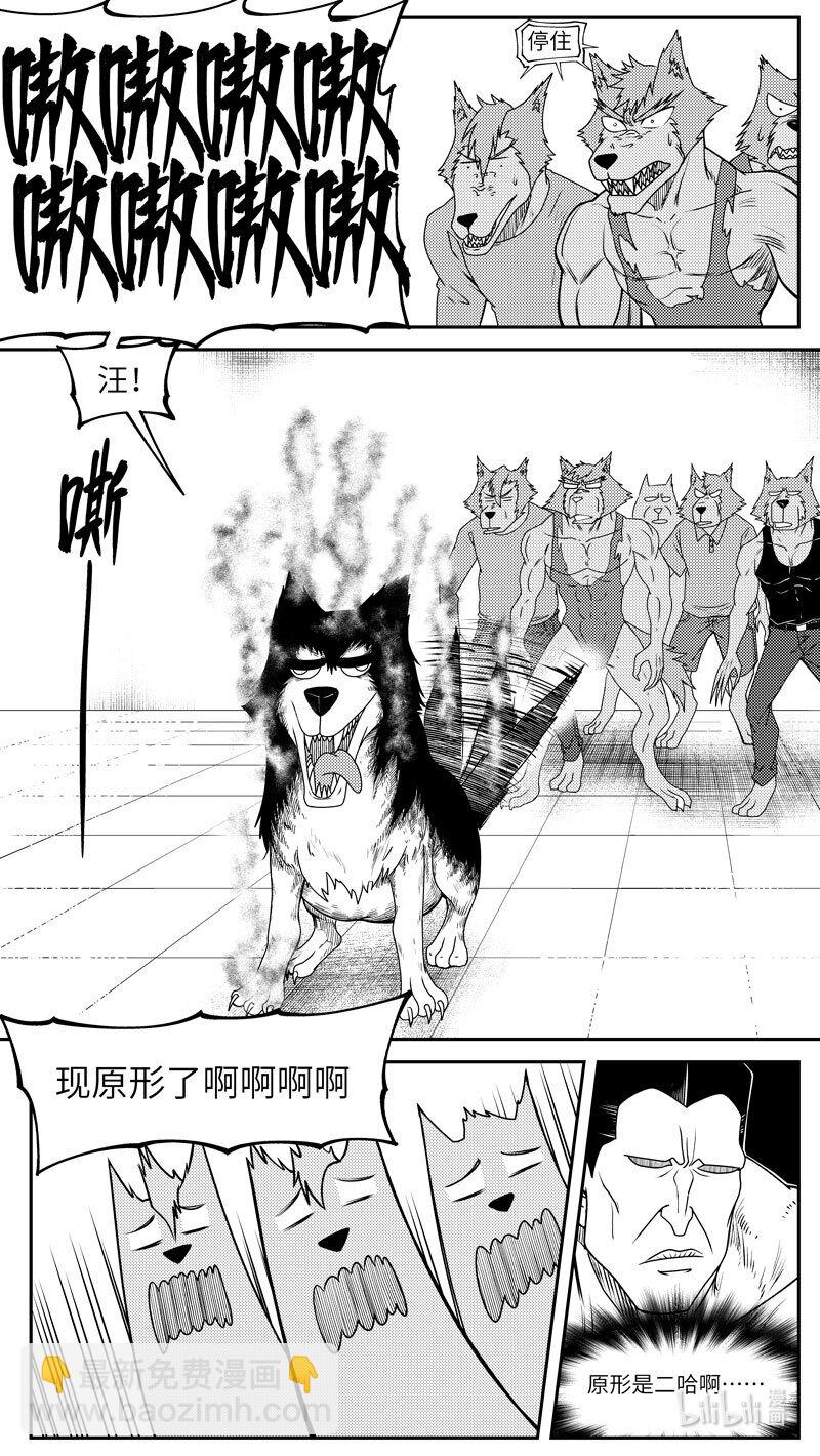 🍱十万个冷笑话 99062 驱魔 第9页
