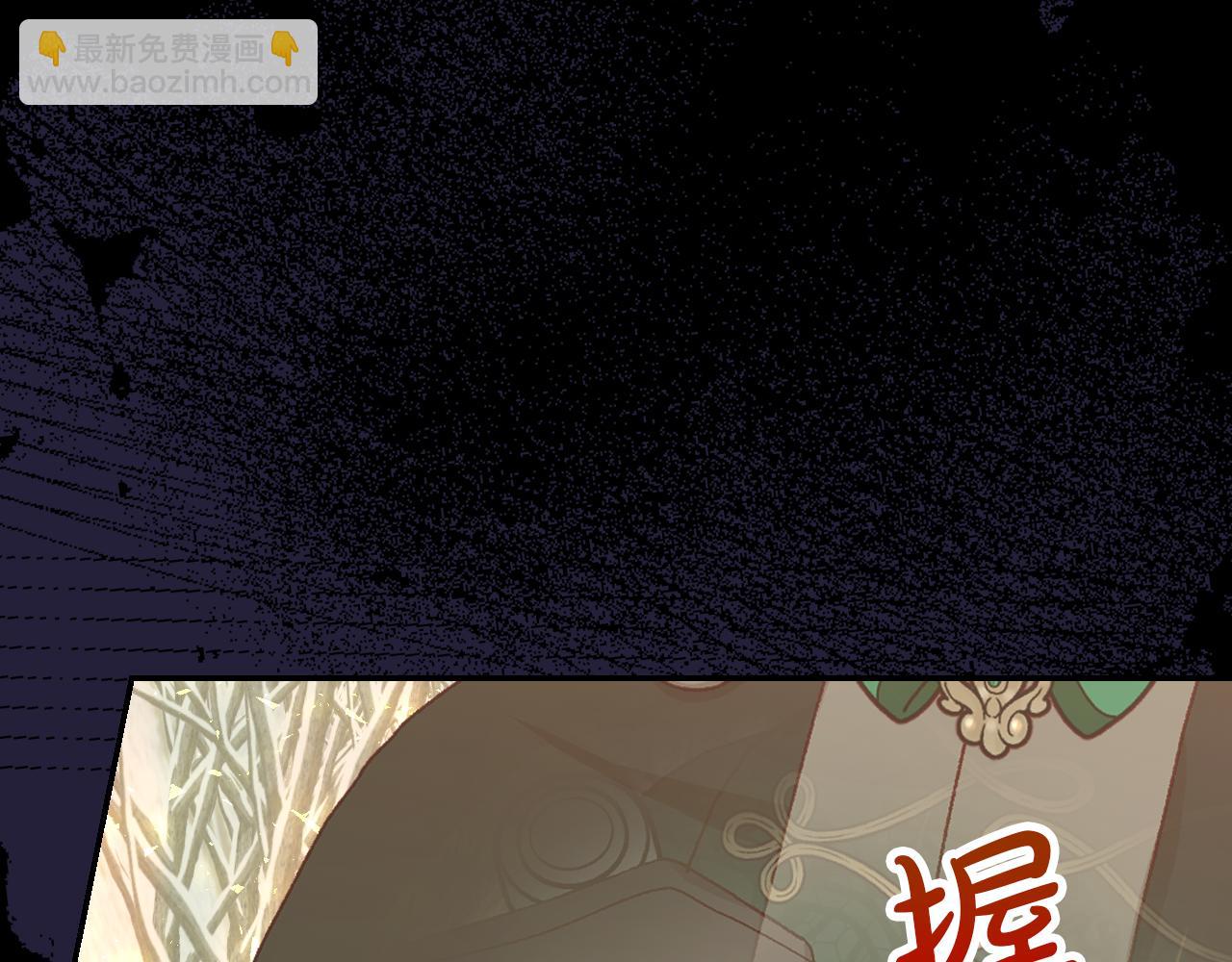 🍱侍女只想活下去 第136话 她的骑士 第36页