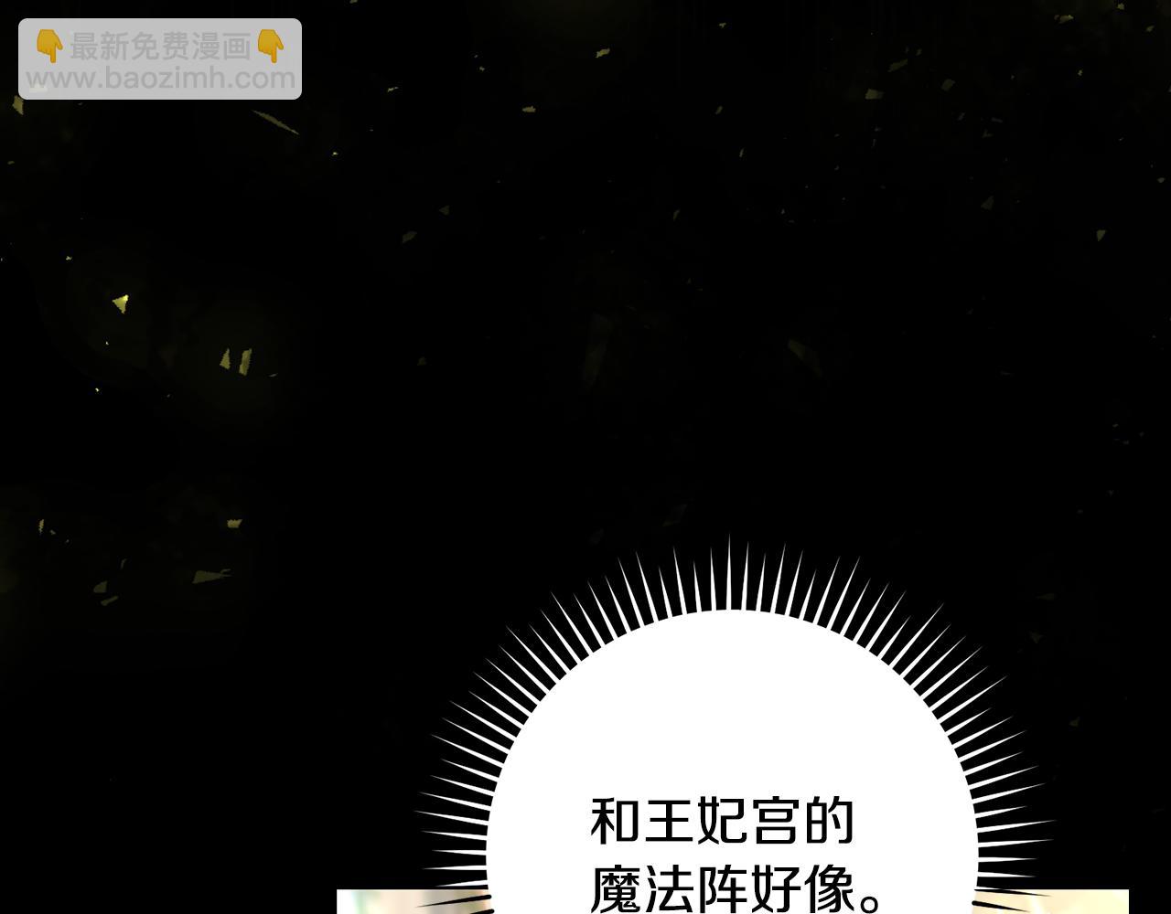 🍱侍女只想活下去 第136话 她的骑士 第6页