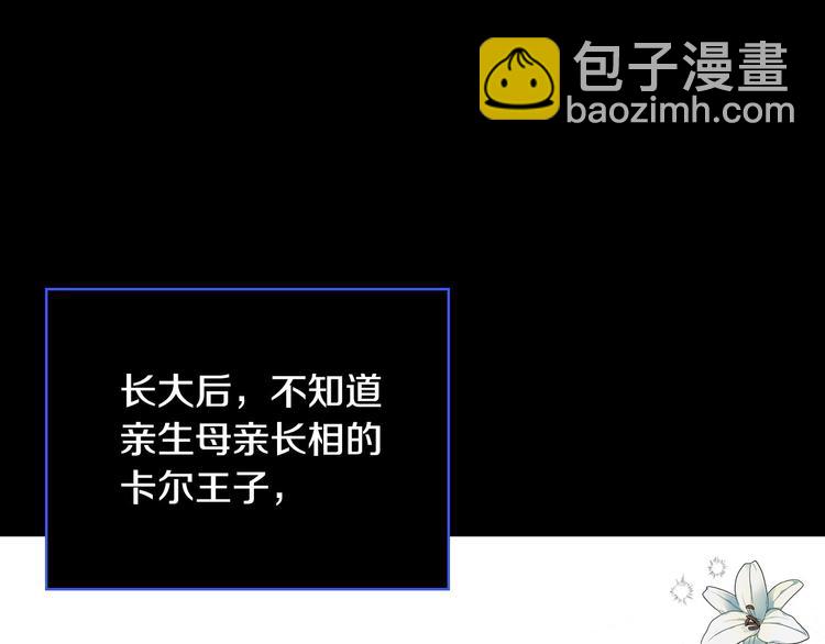 🍱侍女只想活下去 第40话 我能怎么办？ 第11页