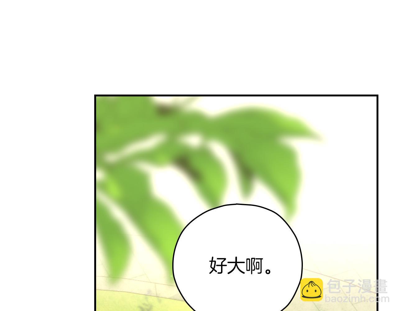 🍱侍女只想活下去 第56话 璀璨星空 第50页