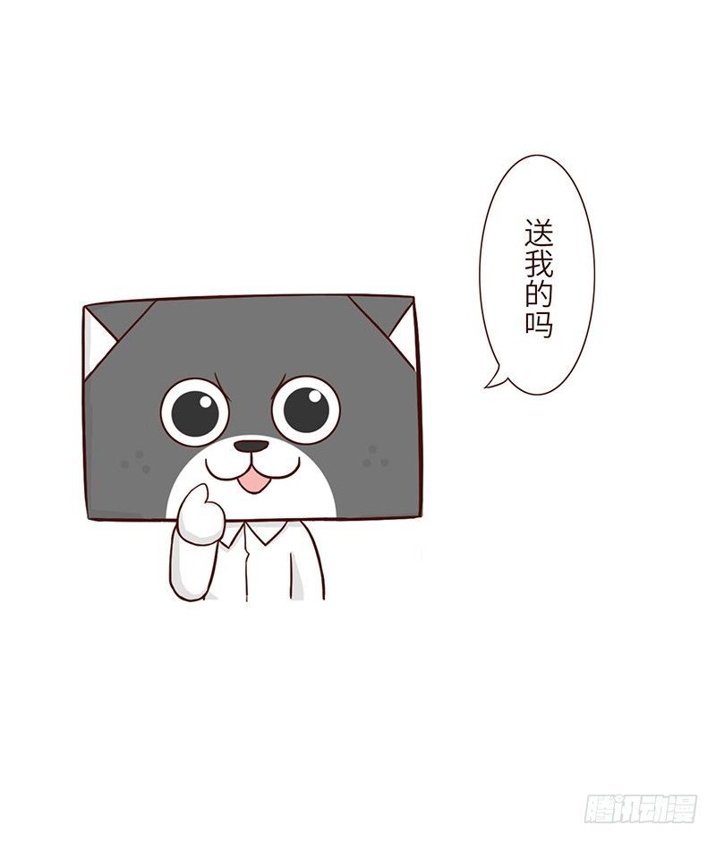 🍱十三生笑 领带 第3页