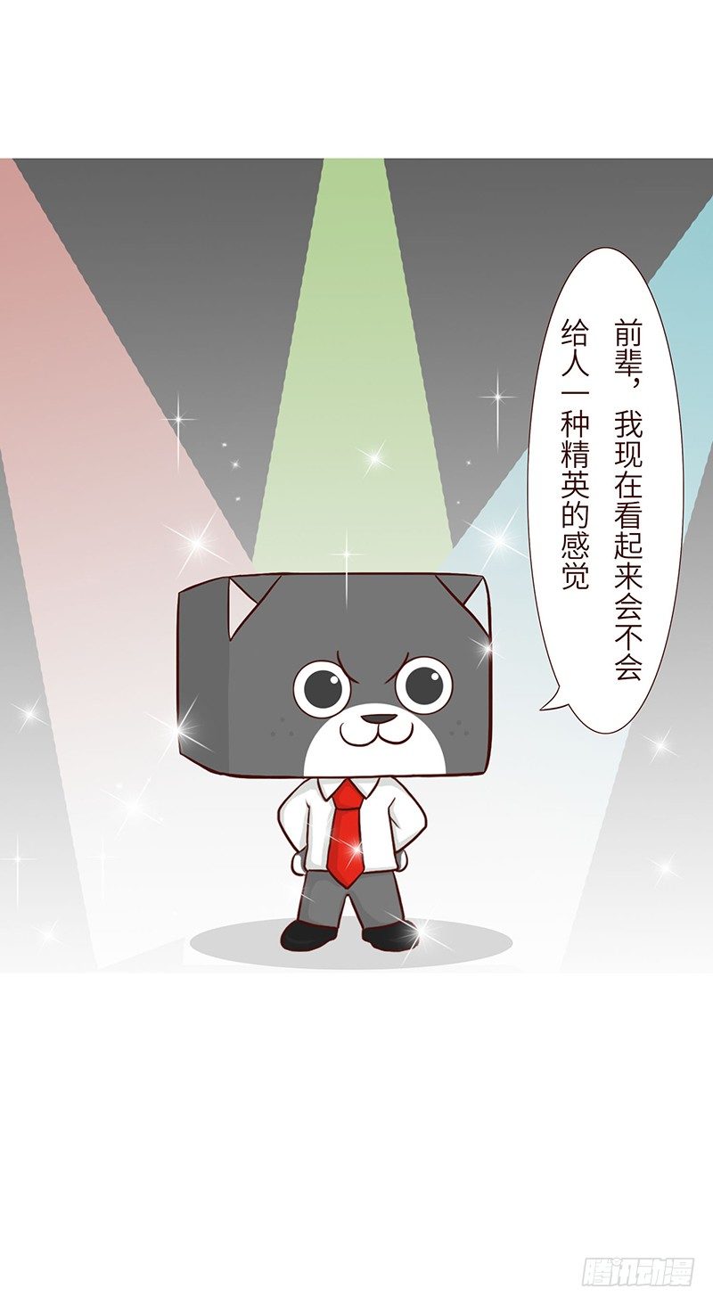 🍱十三生笑 领带 第5页