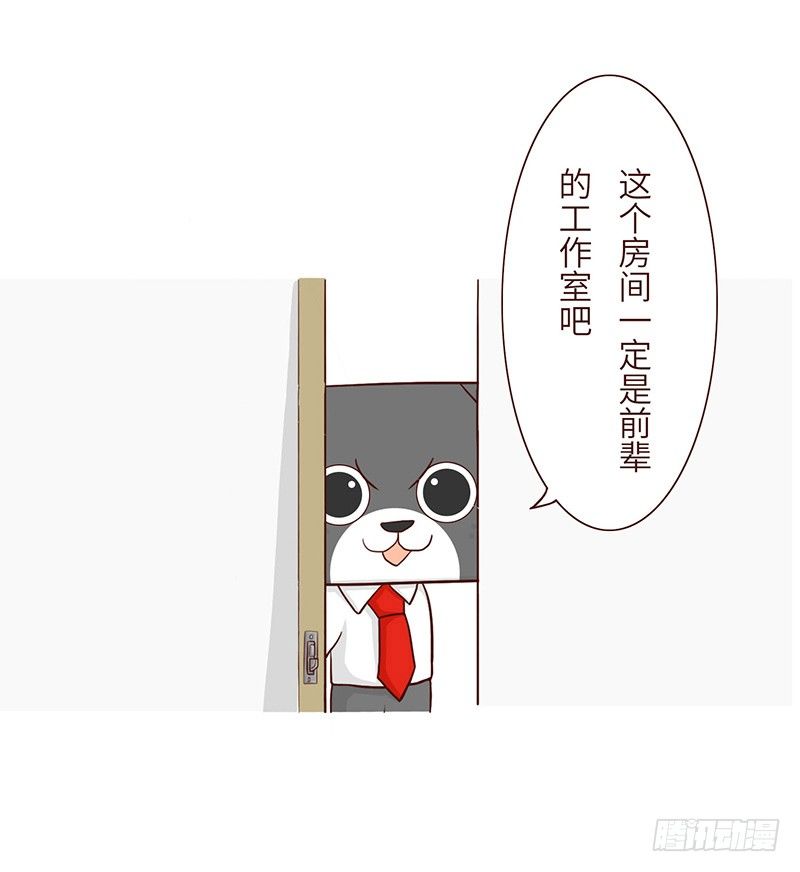 🍱十三生笑 秘密 第4页