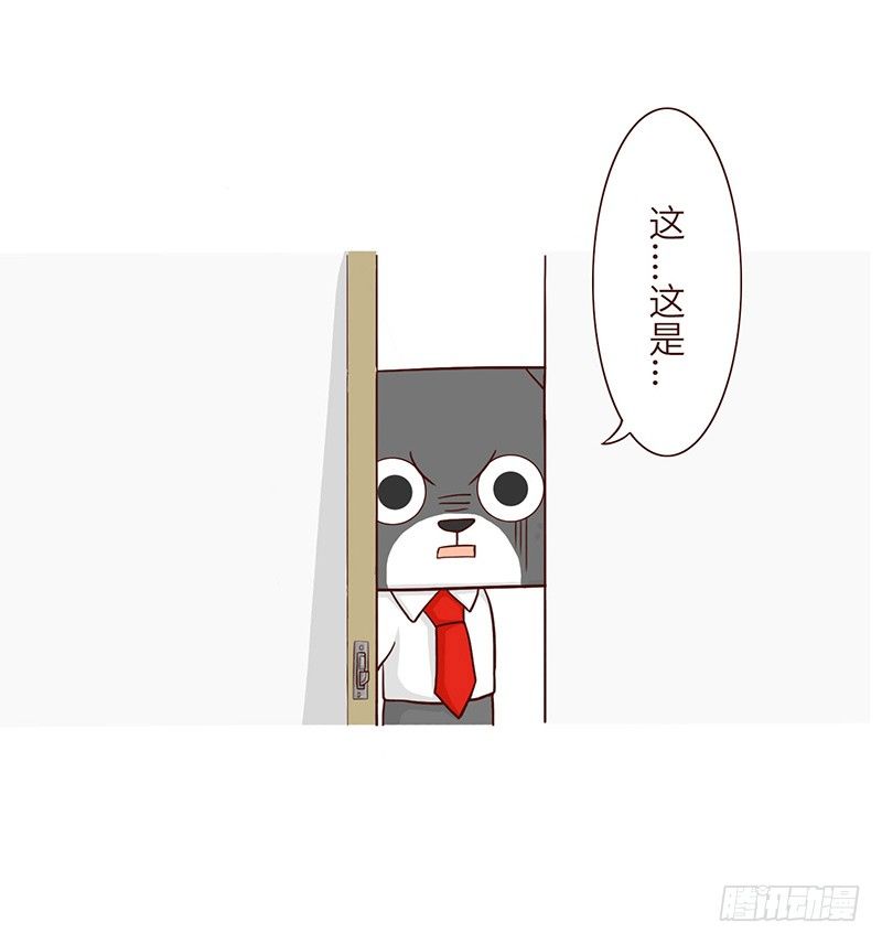 🍱十三生笑 秘密 第5页