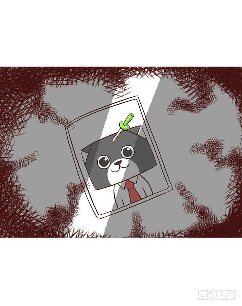 🍱十三生笑 秘密 第7页