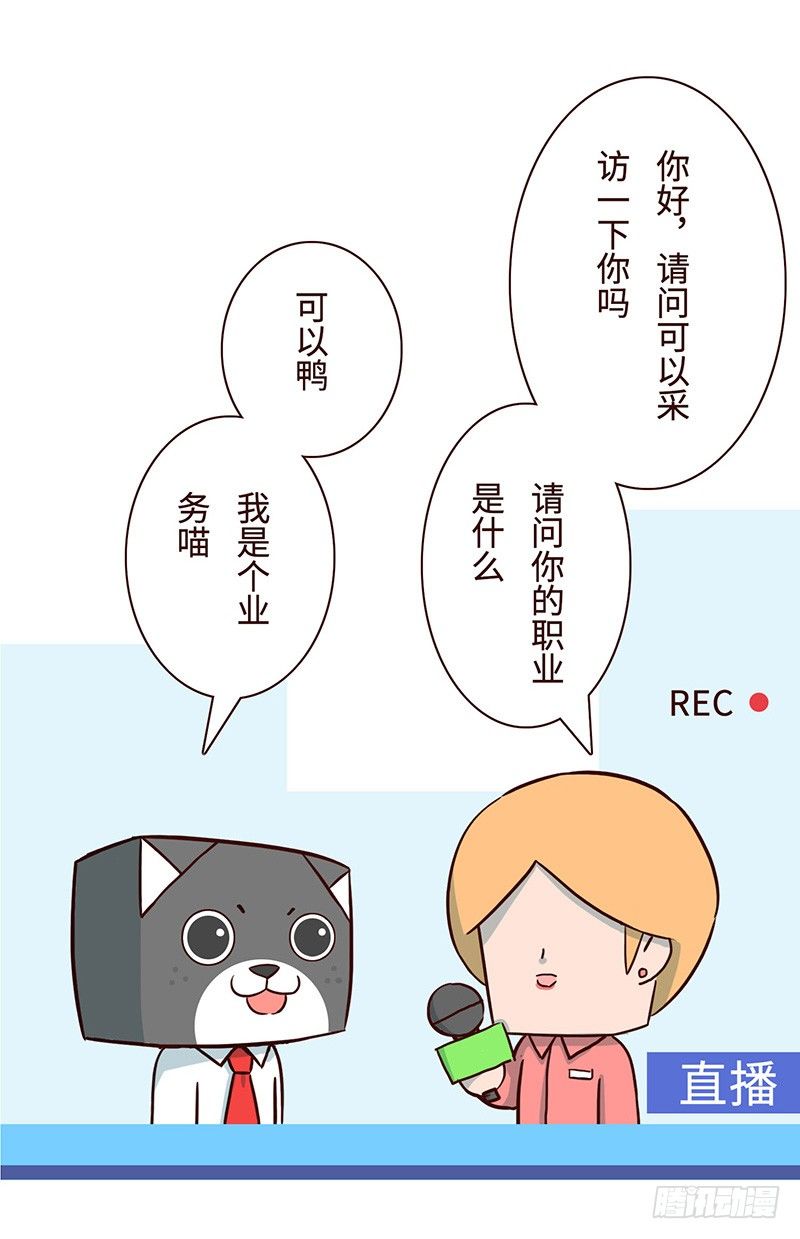 🍱十三生笑 毛线 第3页