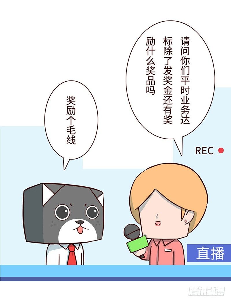 🍱十三生笑 毛线 第4页