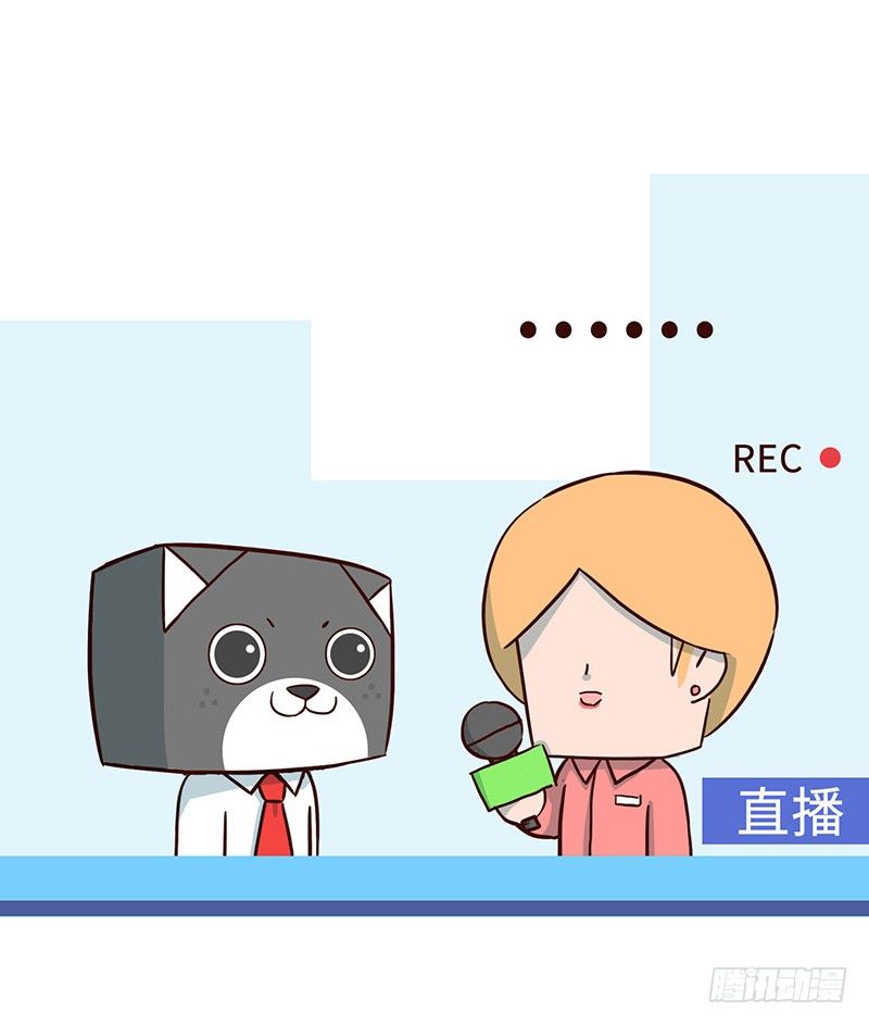🍱十三生笑 毛线 第5页