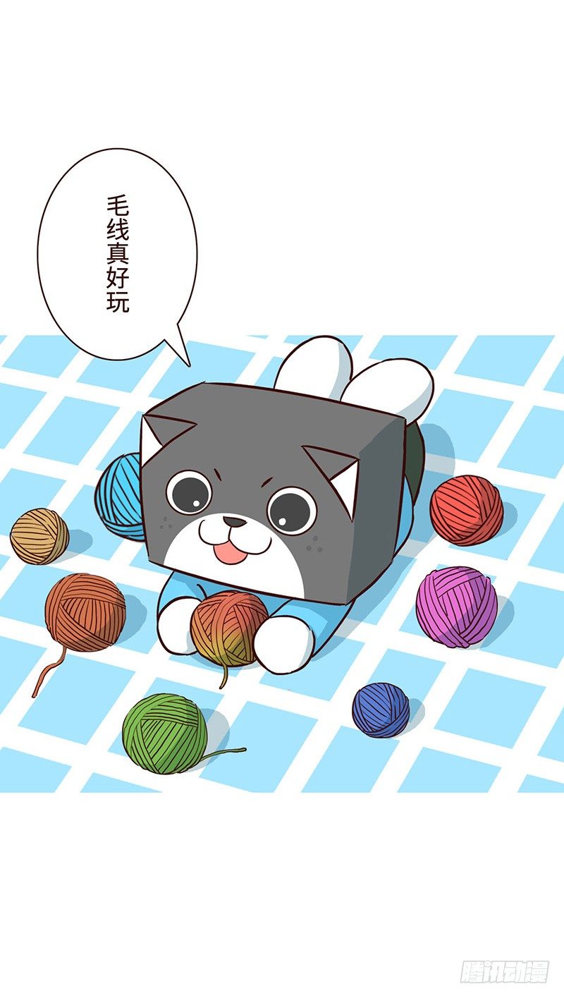 🍱十三生笑 毛线 第7页