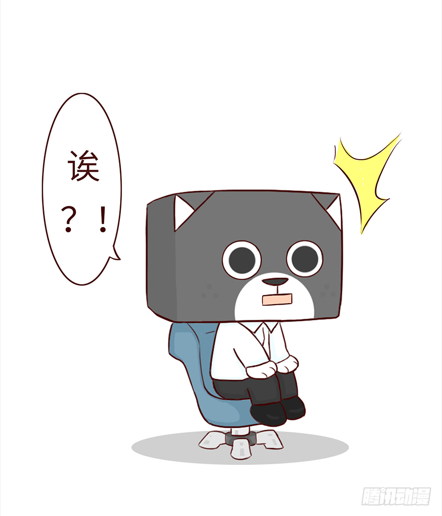 🍱十三生笑 面试 第13页