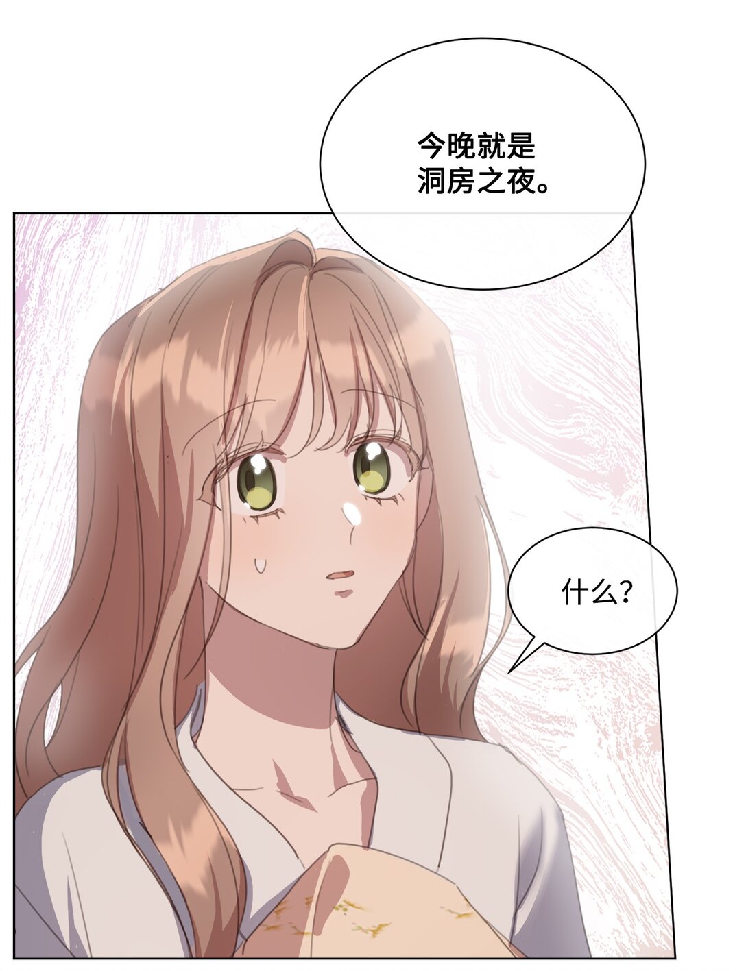 45 洞房之夜(1/2)-第45话