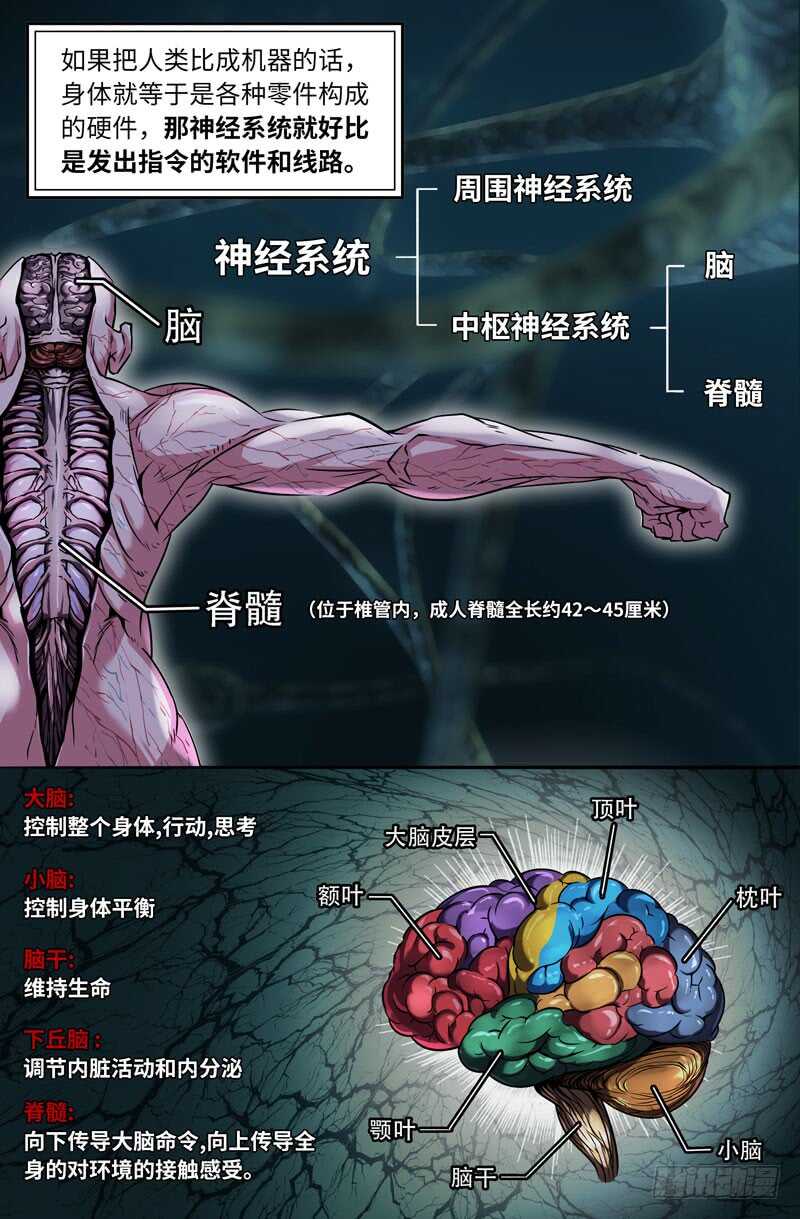 神经系统-第69话