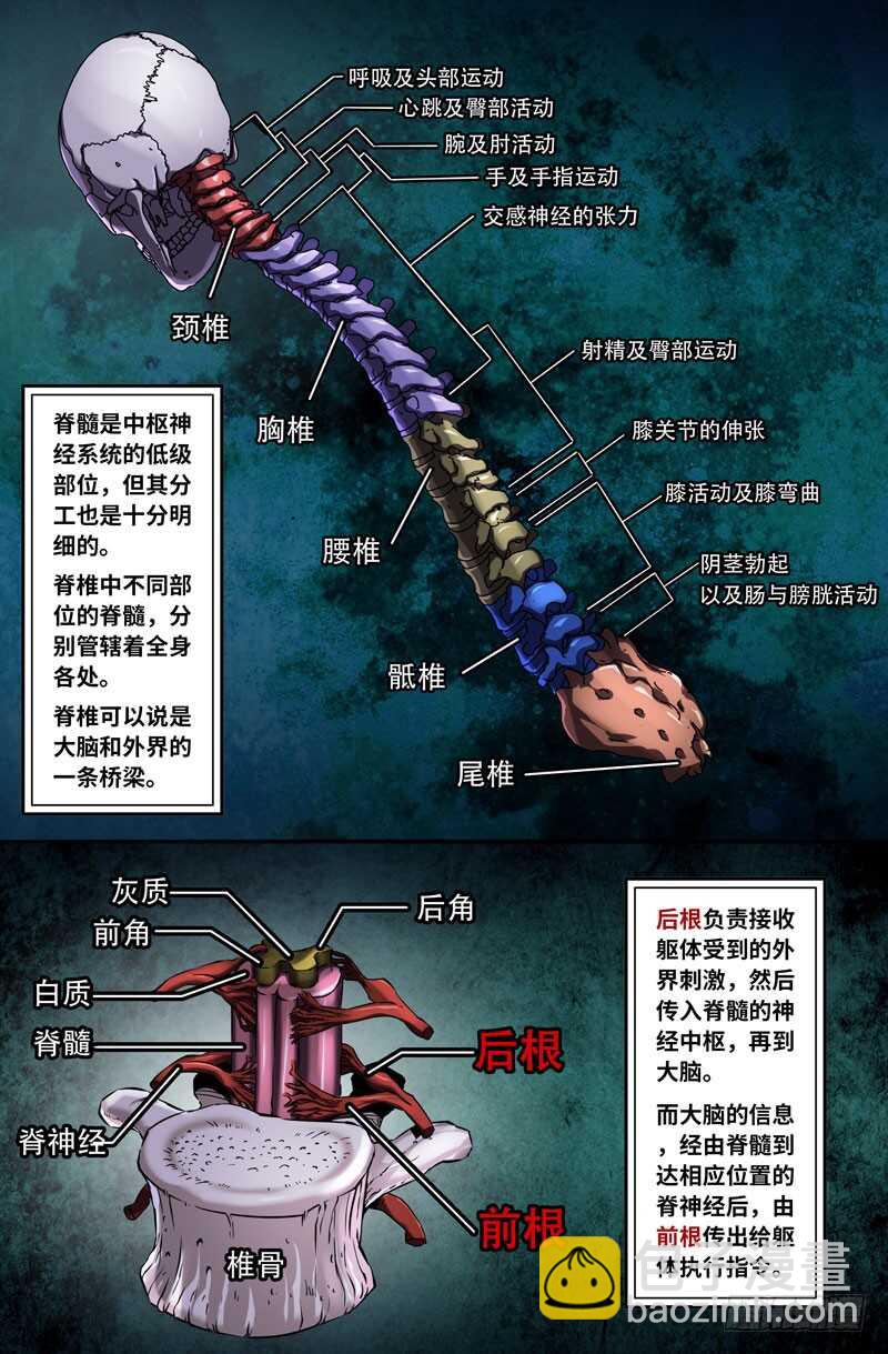 神经系统-第69话