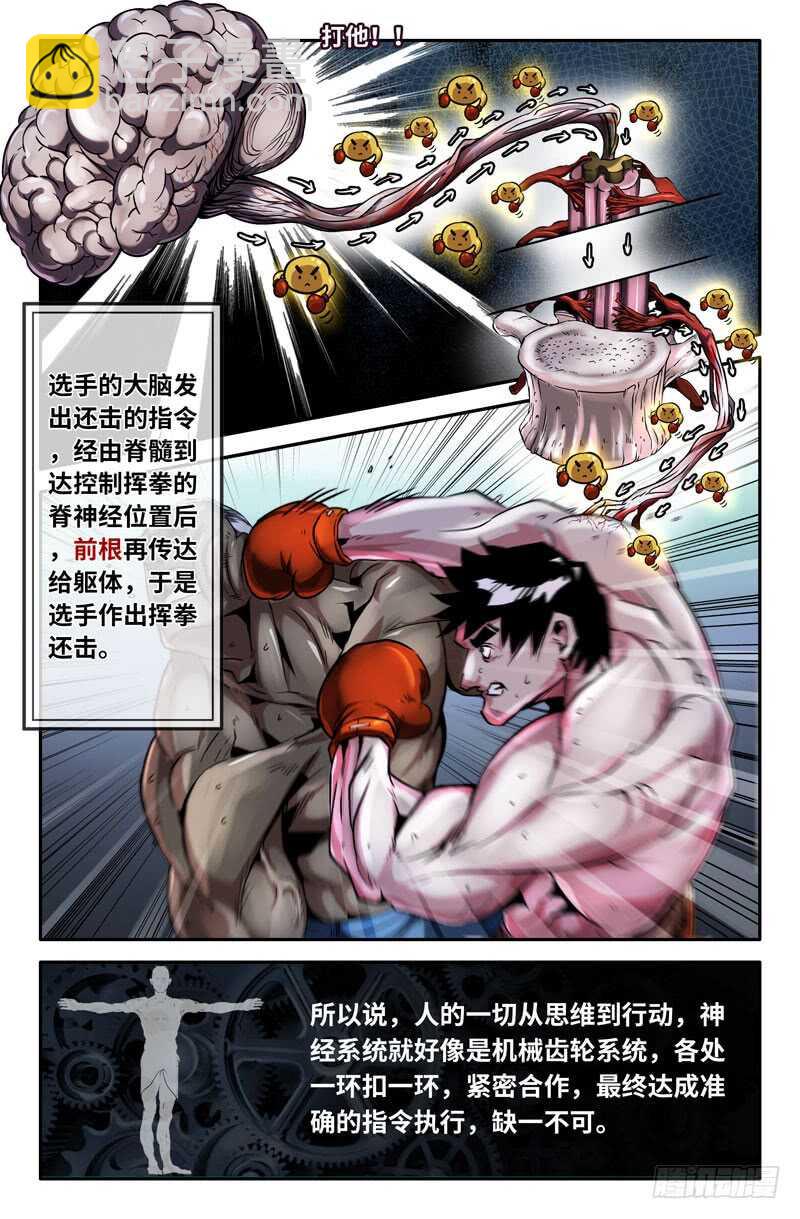 神经系统-第69话