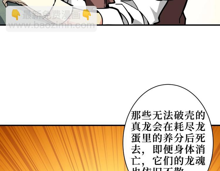 🍱噬神纪 第223话 集齐七颗龙珠！ 第16页