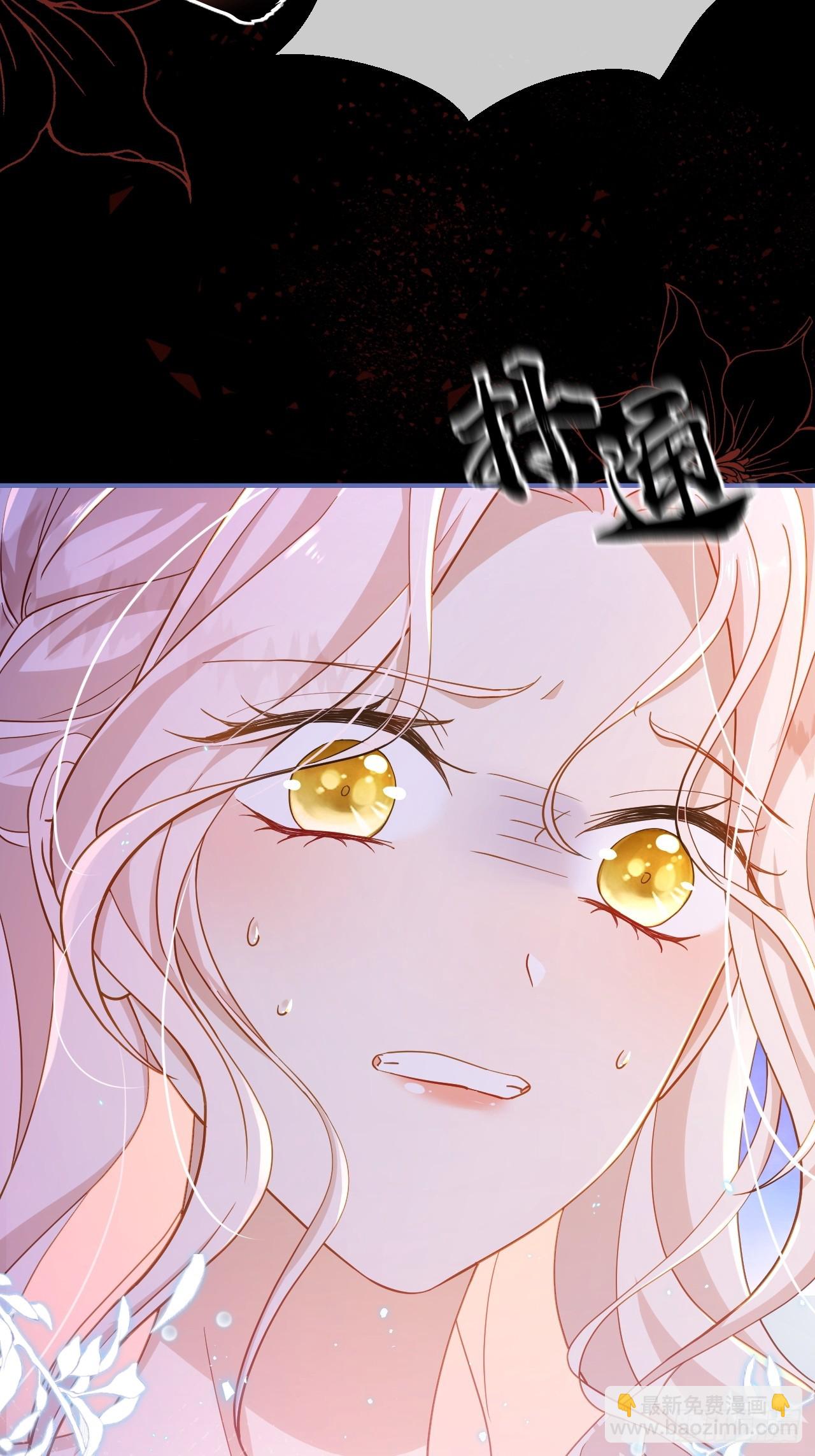 第01话  为什么是5岁！？(1/2)-第3话