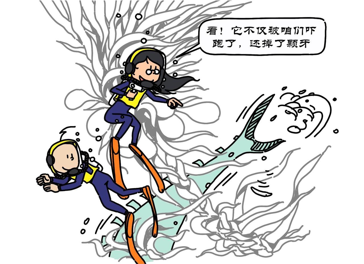 第20集 千钧一发现慧慧，深海迷航寻血油-第19话