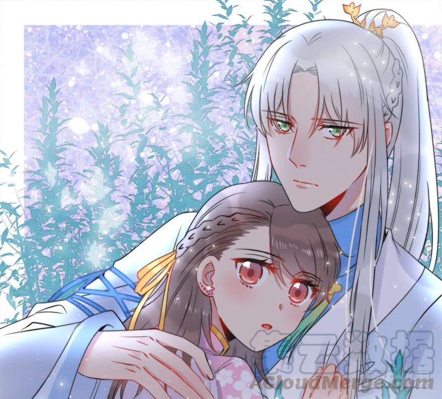 71.寻寻觅觅（含番外）(1/2)-第79话