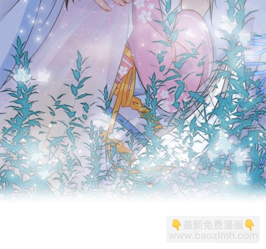 71.寻寻觅觅（含番外）(1/2)-第79话